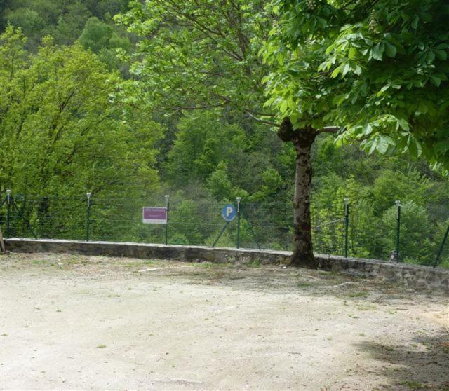 Chambre D'Hotes Cadravals Belcastel Aveyron Zewnętrze zdjęcie